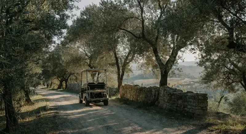Electric golf cart tour Florence panoramic hills route above the city with Porta Romana and Tuscan olive groves